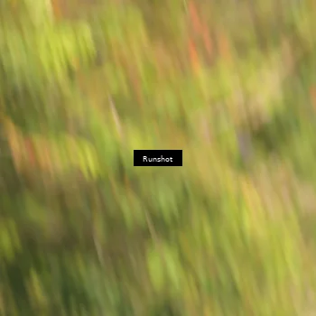 Runner Photo 5634057