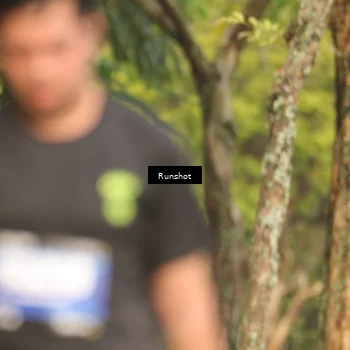 Runner Photo 5634284