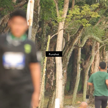 Runner Photo 5634301