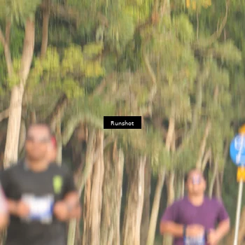 Runner Photo 5634581