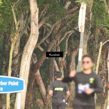 Runner Photo 5634715