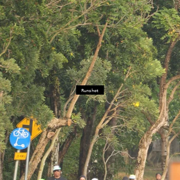 Runner Photo 5635007