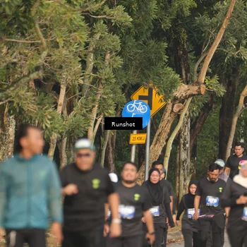 Runner Photo 5635196