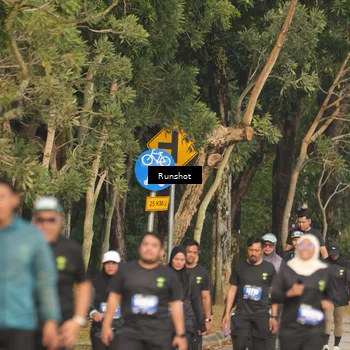 Runner Photo 5635197