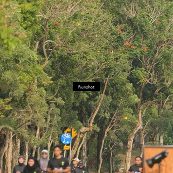 Runner Photo 5635263