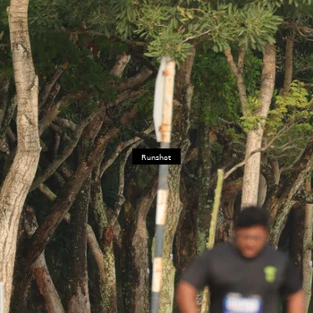 Runner Photo 5635405