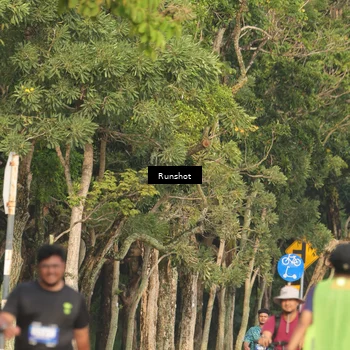 Runner Photo 5635413