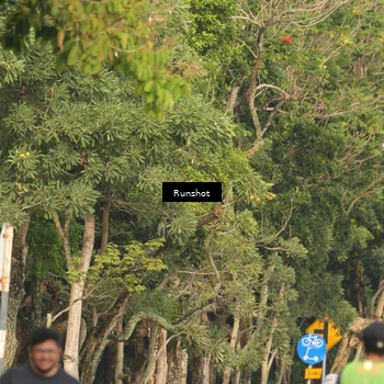 Runner Photo 5635415
