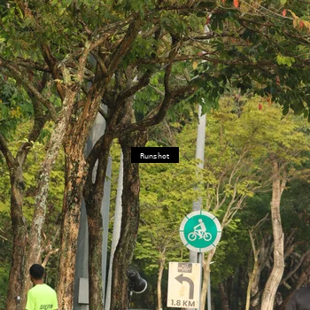 Runner Photo 5635420