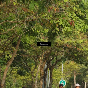 Runner Photo 5635428