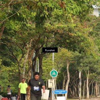 Runner Photo 5635437
