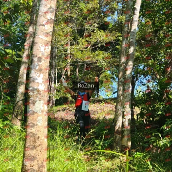 Runner Photo 5636