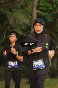 Runner Photo 5637119