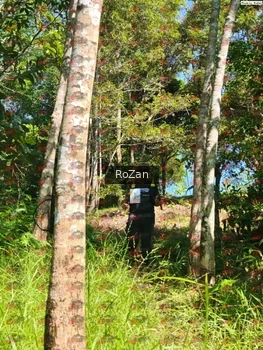 Runner Photo 5640