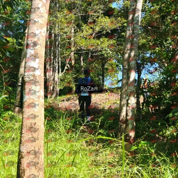 Runner Photo 5643