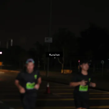 Runner Photo 5646388