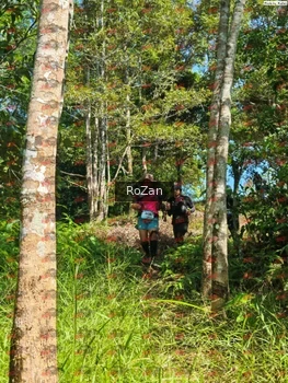 Runner Photo 5648