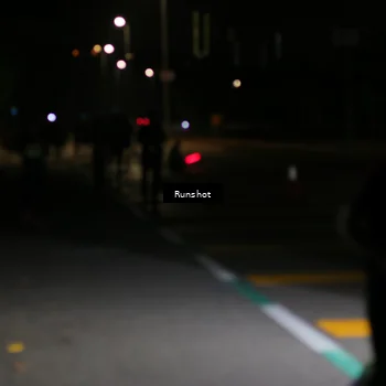 Runner Photo 5648820