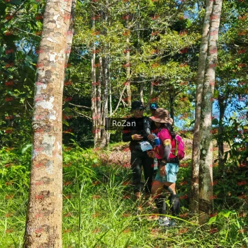 Runner Photo 5649