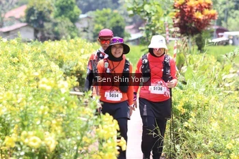 Runner Photo 5652194