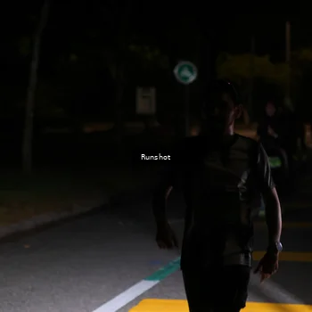 Runner Photo 5652639