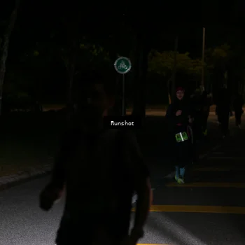 Runner Photo 5652640
