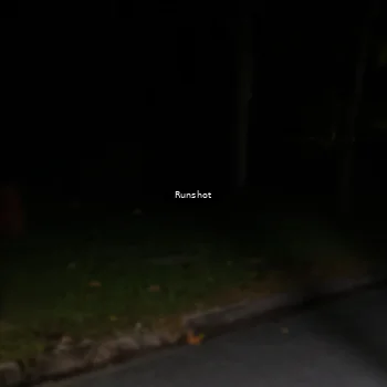 Runner Photo 5652722