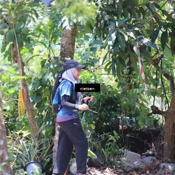 Runner Photo 5653884