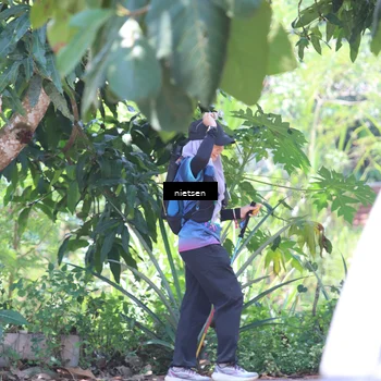 Runner Photo 5653931