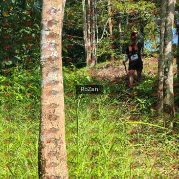 Runner Photo 5654