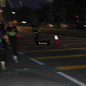 Runner Photo 5654881