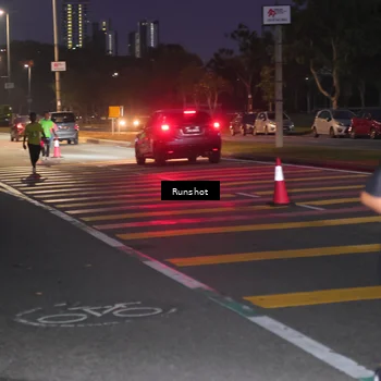 Runner Photo 5655511