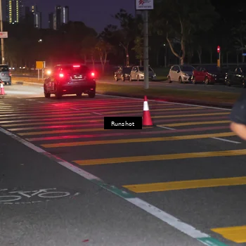 Runner Photo 5655514