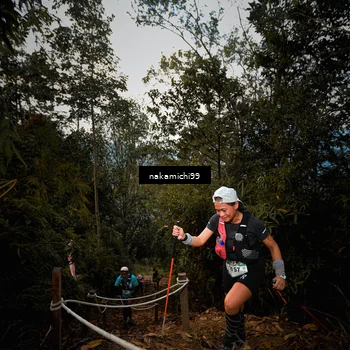 Runner Photo 5658566