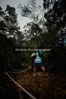 Runner Photo 5658980