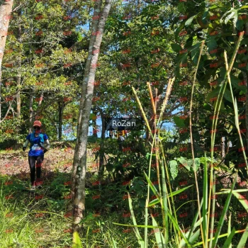 Runner Photo 5659
