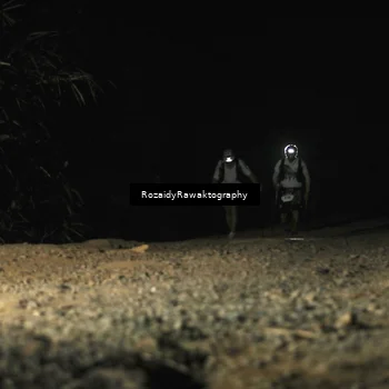 Runner Photo 5661264