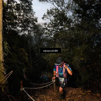 Runner Photo 5662056