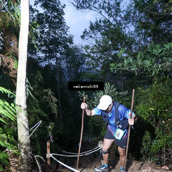 Runner Photo 5662474