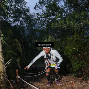 Runner Photo 5662594