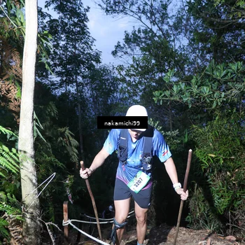 Runner Photo 5662596