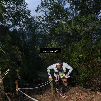 Runner Photo 5662699