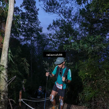 Runner Photo 5662859