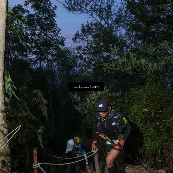 Runner Photo 5662974