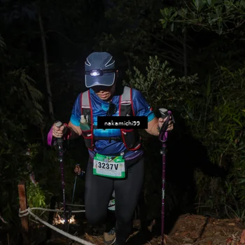 Runner Photo 5664032