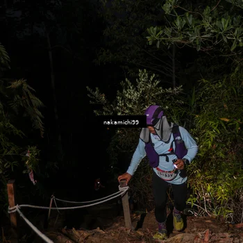 Runner Photo 5664106