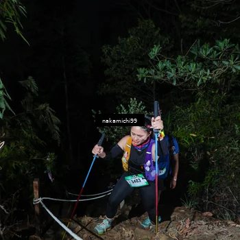 Runner Photo 5664826