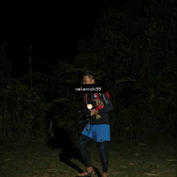 Runner Photo 5665002