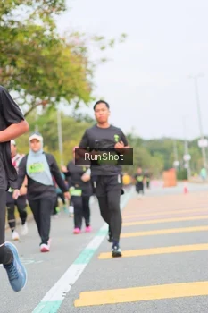 Runner Photo 5672944