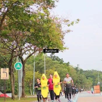 Runner Photo 5674026